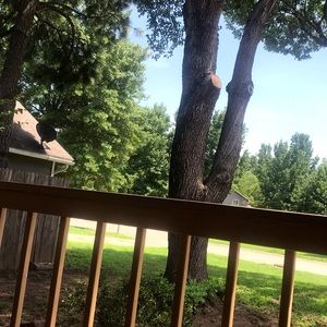 Meet your Posher, Nevaeh